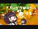 【あつまれ！1分弱料理祭】きりたんとバングラデシュ風の魚カレー