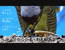 4月19日今日撮り野鳥動画まとめ　トカゲ食ツミ、カルガモ潜水