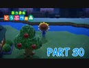 無人島で気ままに生活！【あつまれ どうぶつの森part30】
