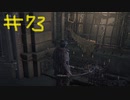 【Bloodborne】フロムゲー初心者のブラッドボーンpart73【実況プレイ】