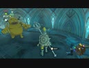【ゼルダの伝説BOTW】【part38】実況リハビリのコメント返し回【ゲーム実況】【風神雷神】