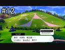 【実況】トレーナー戦闘を全て目隠ししたらクリアできるの？part12【ポケモン盾】