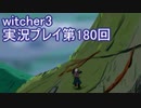 探し人を求めてwitcher3実況プレイ第180回