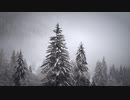 雪 by 小田切清輝