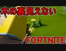 おそらく中級者のフォートナイト実況プレイPart247【Switch版Fortnite】