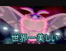 フライゴンと自粛するポケモンマスター【ポケモン剣盾】