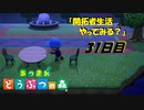【N.Sw】" あつまれ どうぶつの森 " 開拓者生活やってみる？　31日目　【生放送】