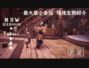 【MHWI】環境生物最大最小金冠紹介78ネッカー