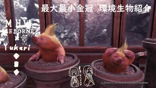 【MHWI】環境生物最大最小金冠紹介80モギー