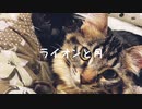 ライオンと月