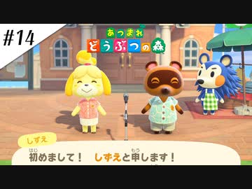 『あつまれ どうぶつの森』実況プレイ #14