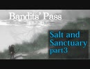 【Salt_and_Sanctuary】2D世界の呪われた島を初見探索【実況】part3
