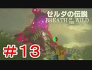 ゼルダ初心者とガチ勢のほのぼの伝説【ゼルダの伝説ブレスオブザワイルド実況：part13】