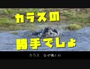 【UTAUカバー】カラスの勝手でしょ / 志村けんトリビュート【重音テト】