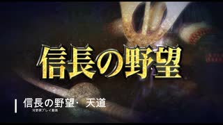 信長の野望･天道 パワーアップキット 河野家 PART2（拠点築城）