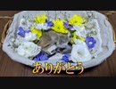 【旅立ち】生後48日の小さな命