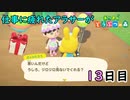 【あつまれどうぶつの森】仕事に疲れたアラサーが無人島生活 13日目