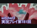 探し人を求めてwitcher3実況プレイ第181回
