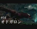 【MHW】双剣で一狩りいこうか【実況】#14/オドガロン