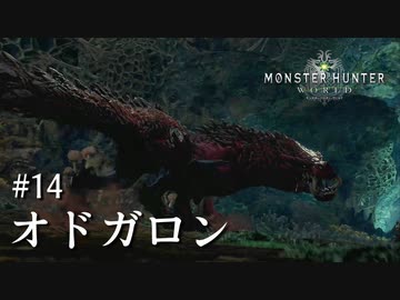 【MHW】双剣で一狩りいこうか【実況】#14/オドガロン