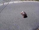 ある晴れた日に散歩する沙原さん。