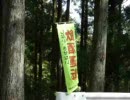 【適当に】静岡県県道47号を走ってみた・その１【走ってきた】