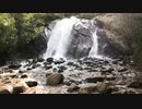 【オリジナル曲】自然音、鳥のさえずり、水の音、瞑想 | Beautiful Relaxing Melody with Bird Singing