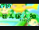 田んぼと畑