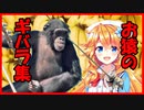 【御伽原江良】おさるのギバラ【発狂・ブチギレ集】