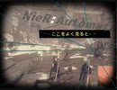 【初見】ニーア完全初心者が頑張るだけの何かpar6【2B9S】