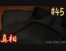 【朗読実況】呪われた島で少女と共にイキノコル【シロナガス島への帰還】part45