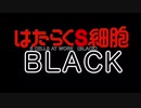 はたらくS細胞BLACK 予告PV2本