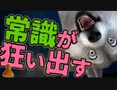 #06【パズル】思い込みが生む幻覚から逃げろ！先入観を捨てないと解けない謎解きゲーム 【Superliminal】
