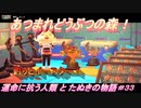【あつ森】前人未島へようこそ！#33【あつまれどうぶつの森】