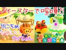 【あつまれ どうぶつの森 実況】イースター中に喧嘩！？カブ売りのウリちゃんと初対面 11日目【あつ森】