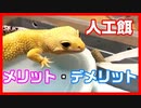 【8カ月使って気付いた】レオパの人工餌 メリット・デメリットを紹介します