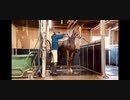 引退競走馬Vlog2