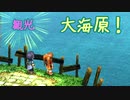 【実況】入り込みすぎる男が空の軌跡FCの物語を全力で楽しむ part60