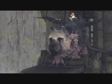 【人喰いの大鷲トリコ】鶏喰いのわしが実況プレイ  Part24