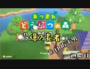 【あつまれどうぶつの森】カブで億万長者を目指す男＃一週間目