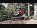 「HS.J」おおかみは赤ずきんに恋をした踊ってみた The wolf that fell in love with little red riding hood