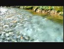 【イボーン】癒し飲酒部