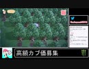 2020年04月21日【あつまれどうぶつの森】競馬場を作ろう！【放送アーカイブ】