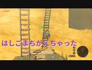 【インスタゼルダ】もっとみんなに見てほしい【かんよう】
