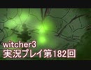 探し人を求めてwitcher3実況プレイ第182回