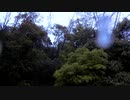 強めの雨の音2【作業用BGM】