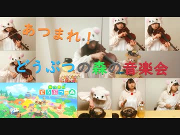 【ぼっちあんさんぶる】あつ森メインテーマをバイオリンと壺で演奏してみた！！【続編は全部くまのしわざ】