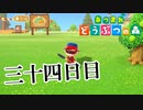 【実況】キャンプ場は広く作ろう【あつまれ どうぶつの森】三十四日目