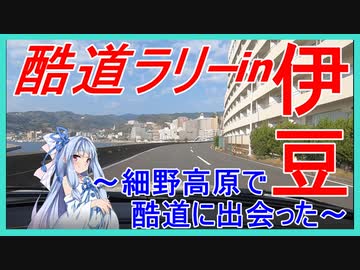 【車載動画】伊豆_細野高原ラリーPart1/2