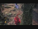 植物が侵入　37